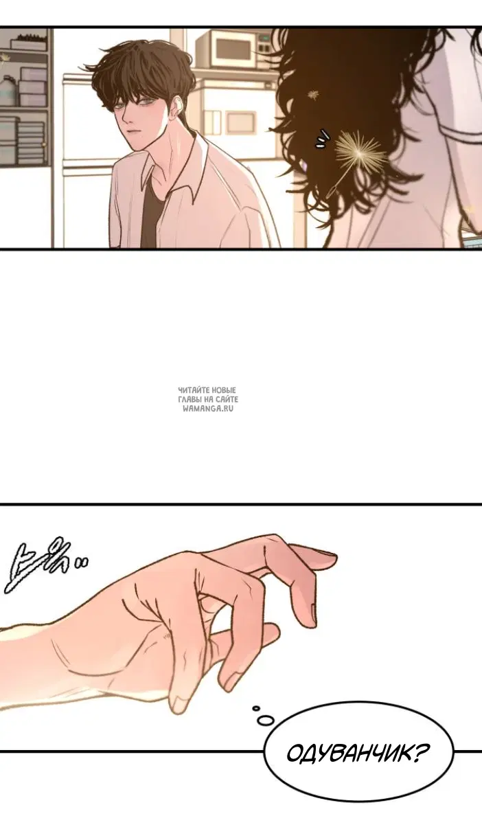 Page 20.000