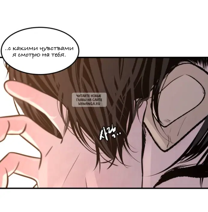 Page 41.000