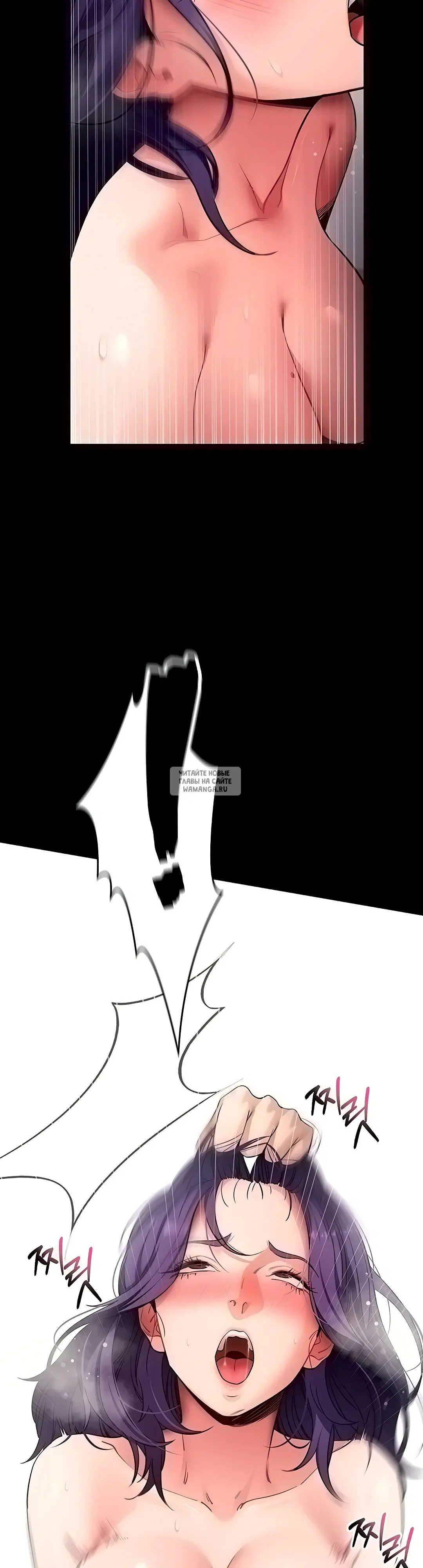 Page 31.000