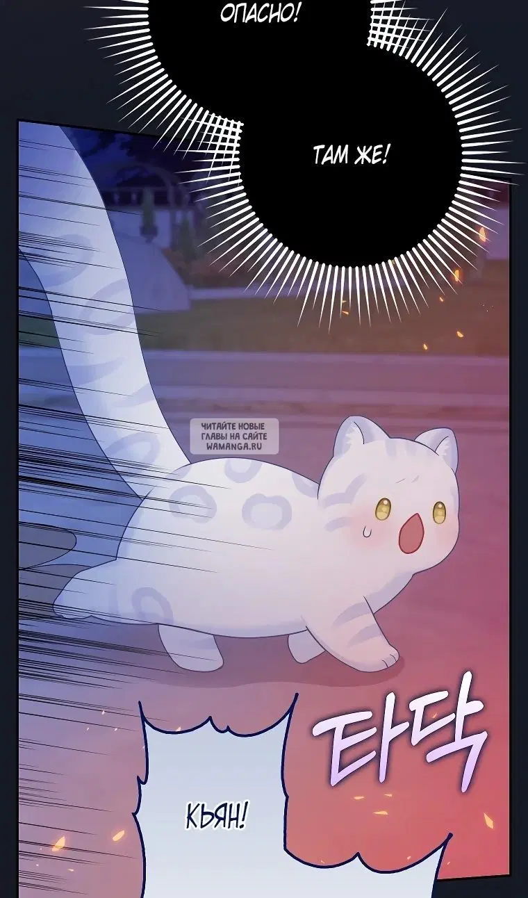Page 28.000