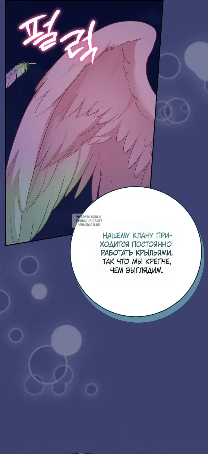 Page 20.000