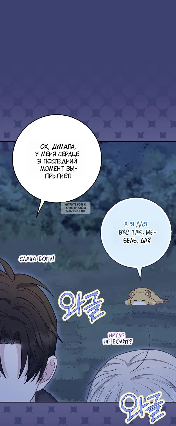 Page 43.000