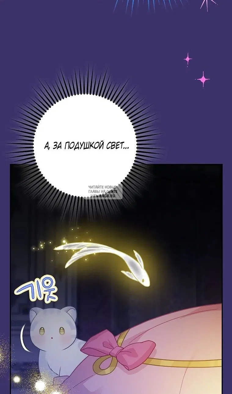 Page 55.000