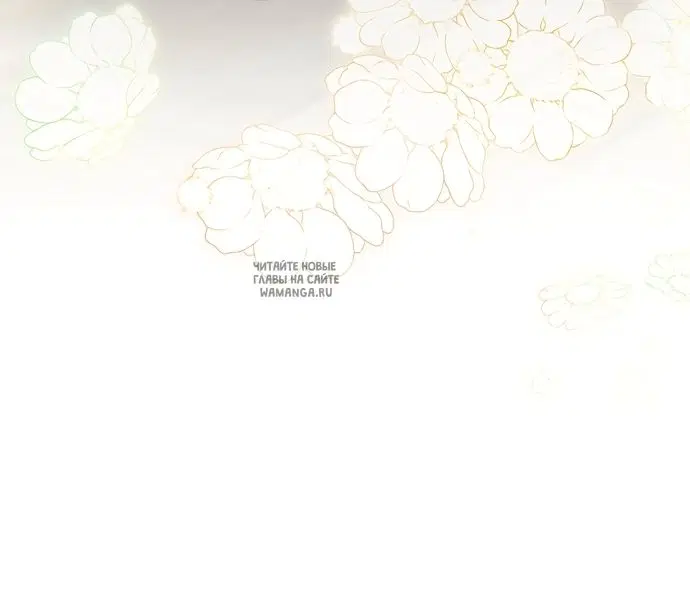 Page 55.000
