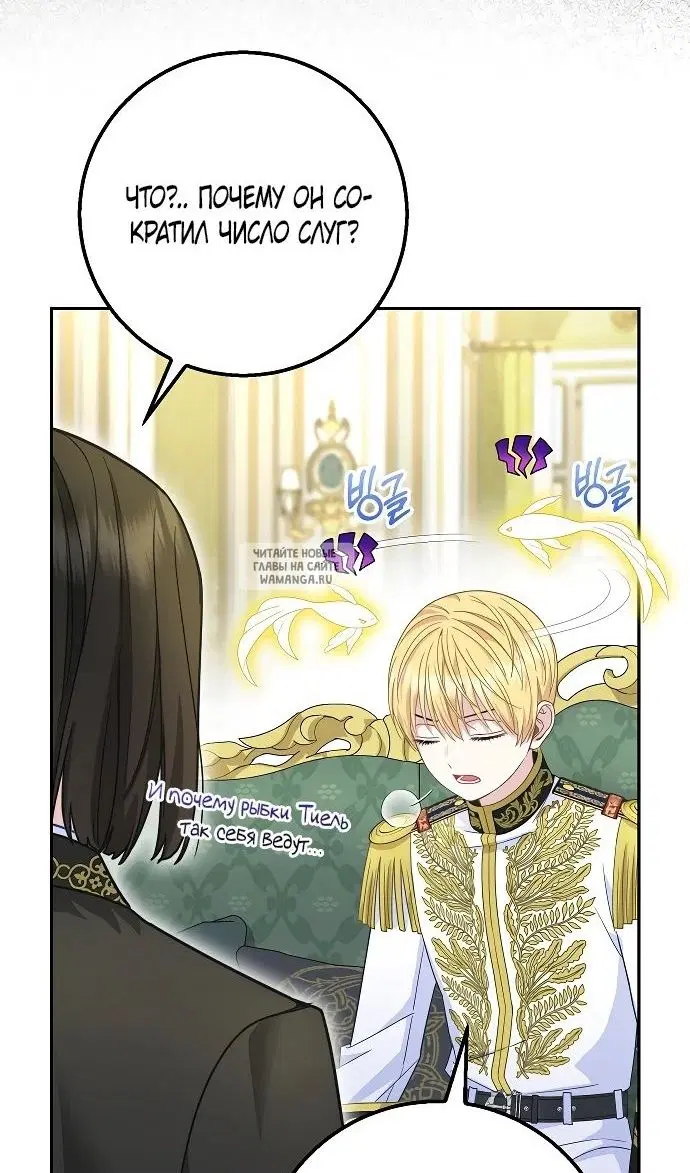 Page 51.000