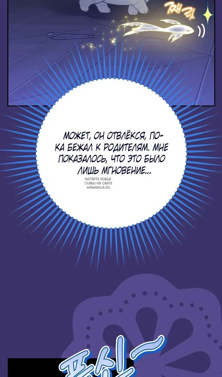 Page 51.000