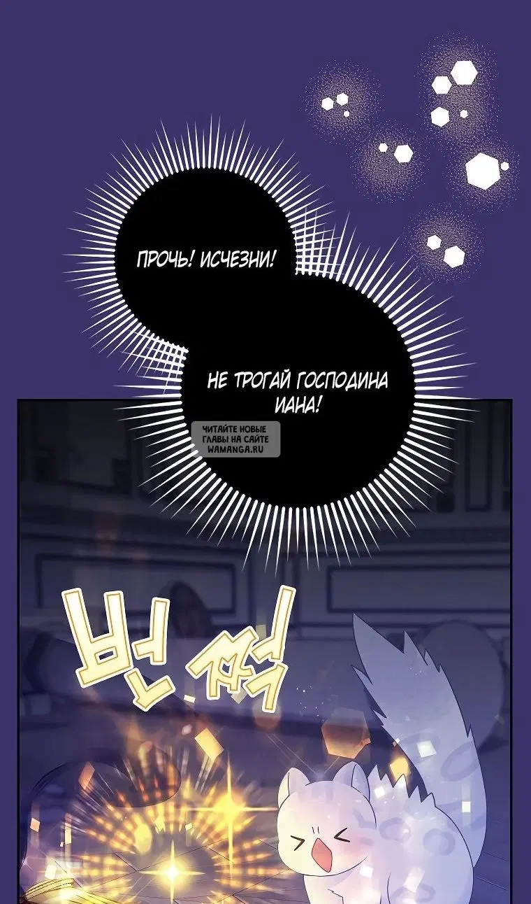 Page 68.000