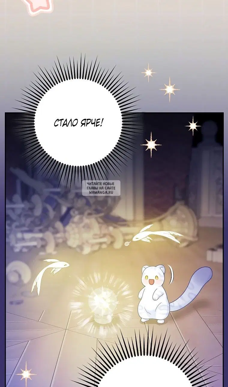 Page 61.000