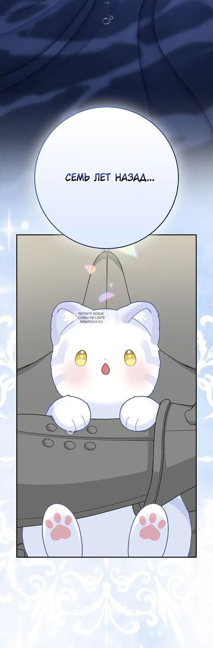 Page 81.000