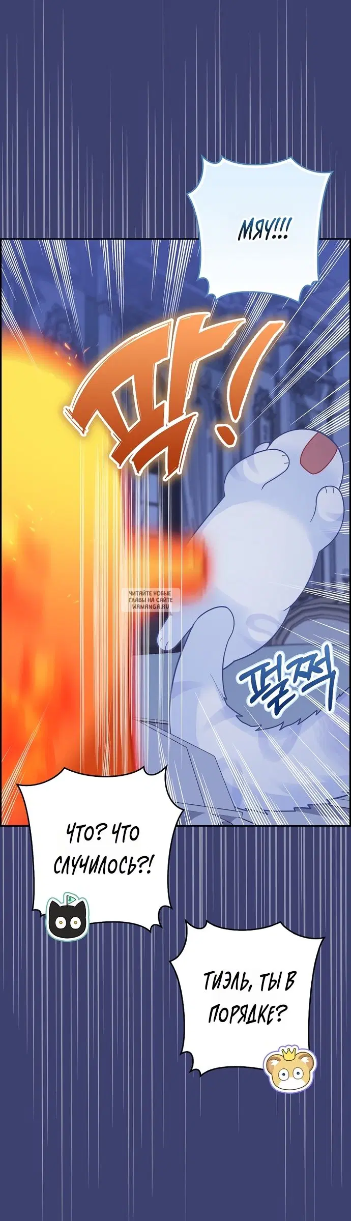 Page 81.000