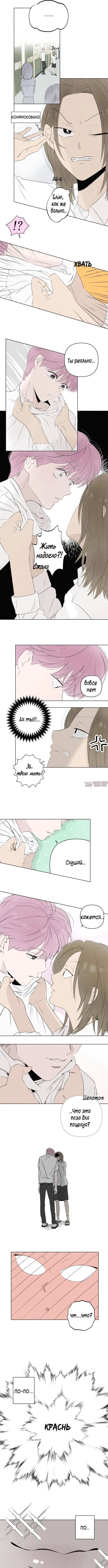 Page 3.000