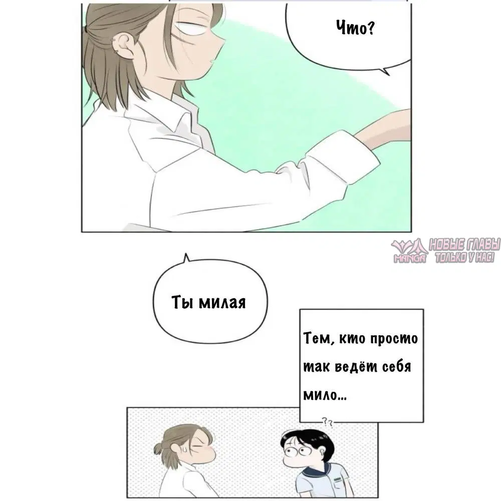 Page 31.000