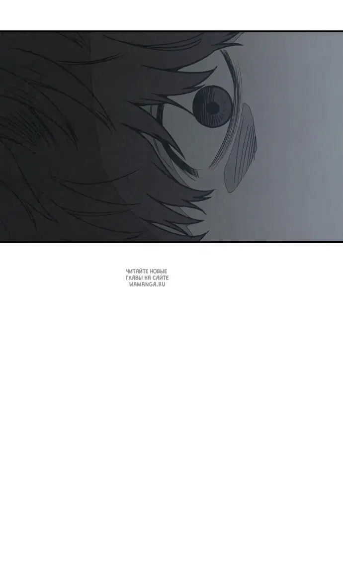 Page 26.000