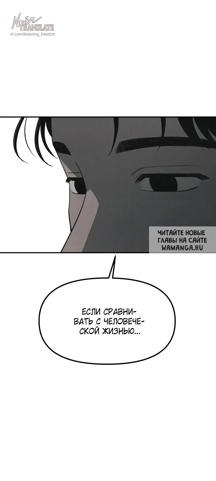 Page 55.000