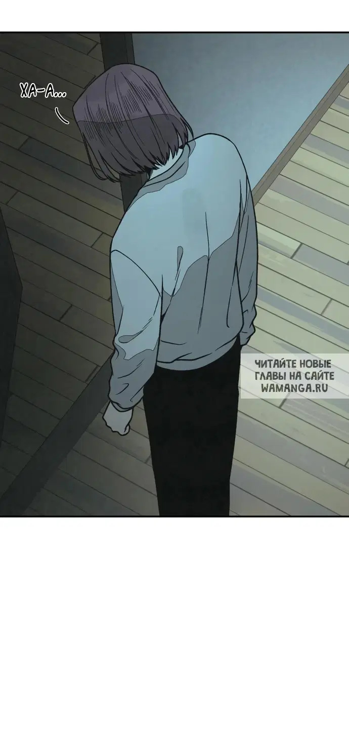 Page 50.000