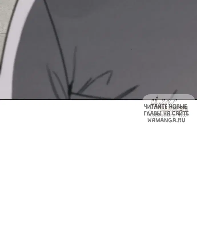 Page 81.000
