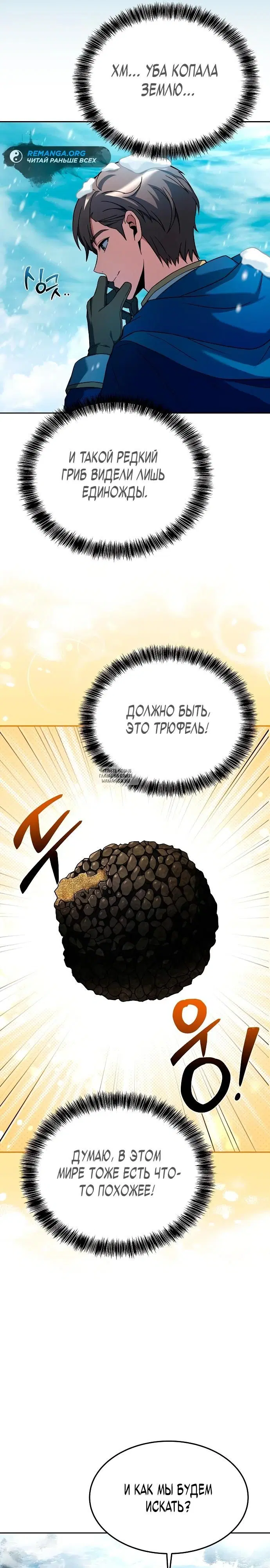 Page 31.000