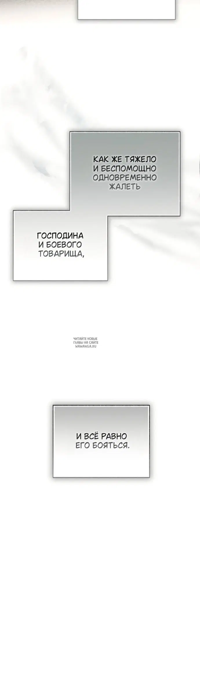 Page 61.000