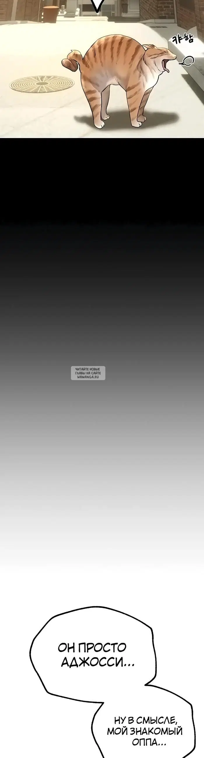 Page 25.000
