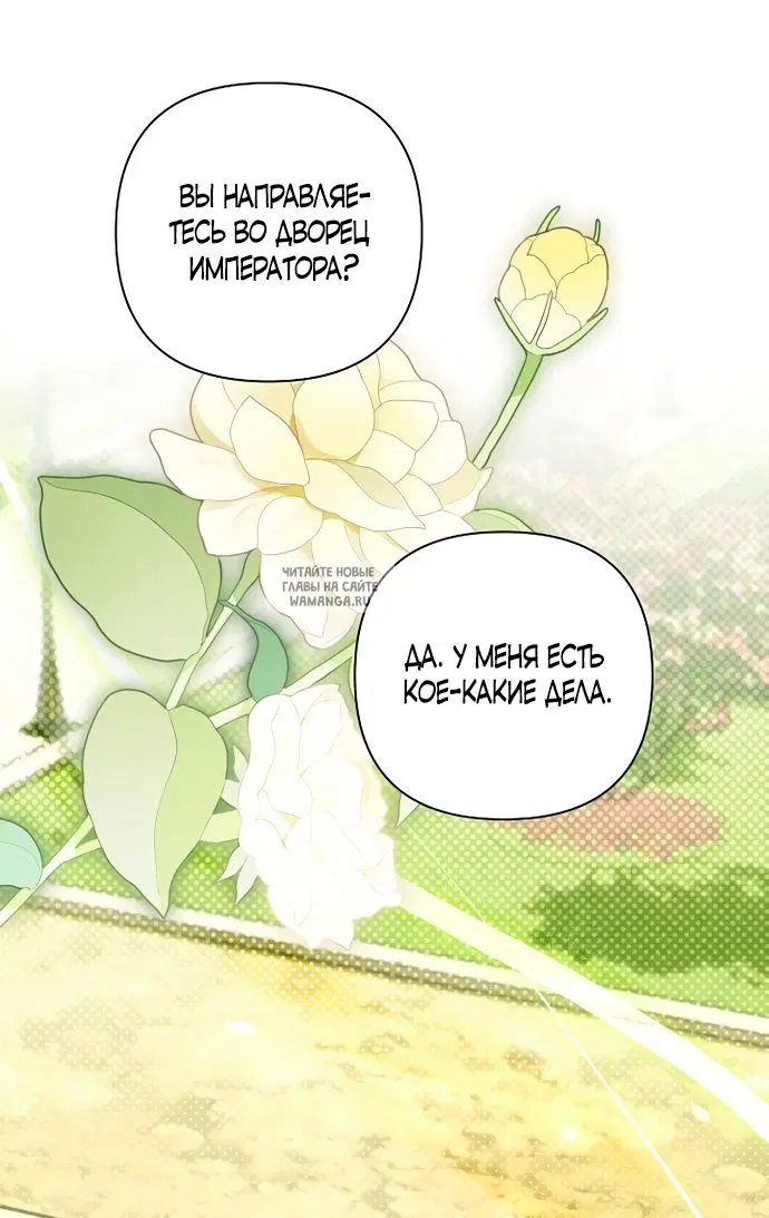Page 28.000