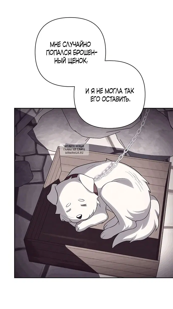 Page 20.000