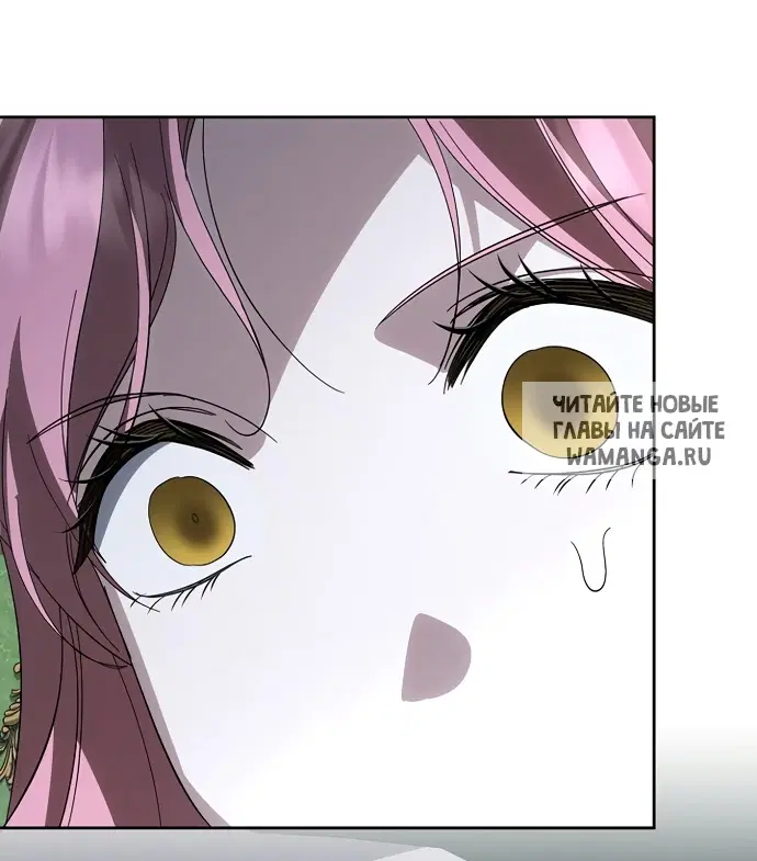 Page 51.000