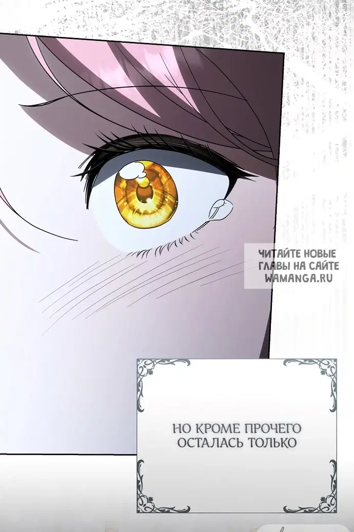 Page 65.000