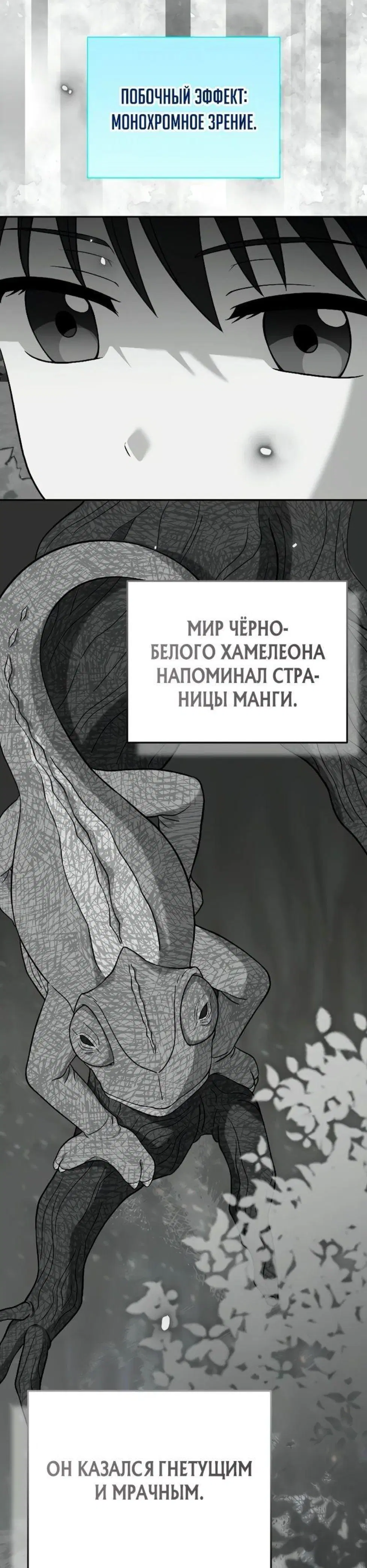 Page 12.001