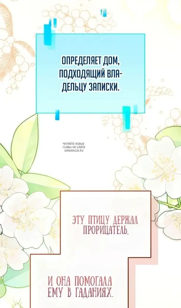 Page 35.000