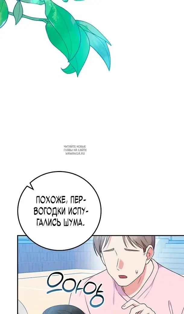 Page 49.000