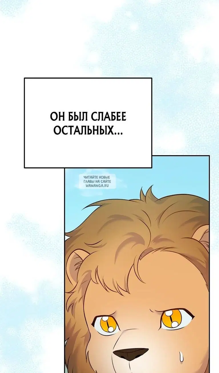 Page 56.000