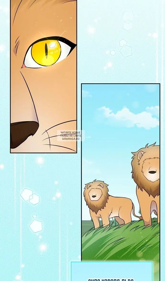 Page 59.000