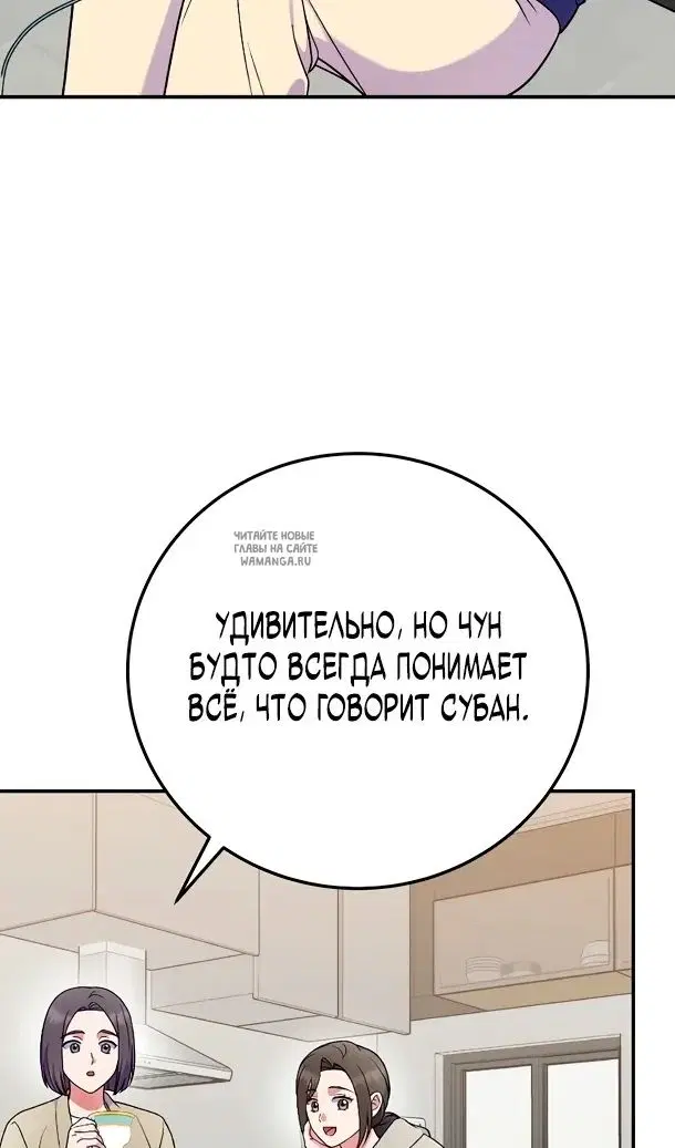 Page 51.000