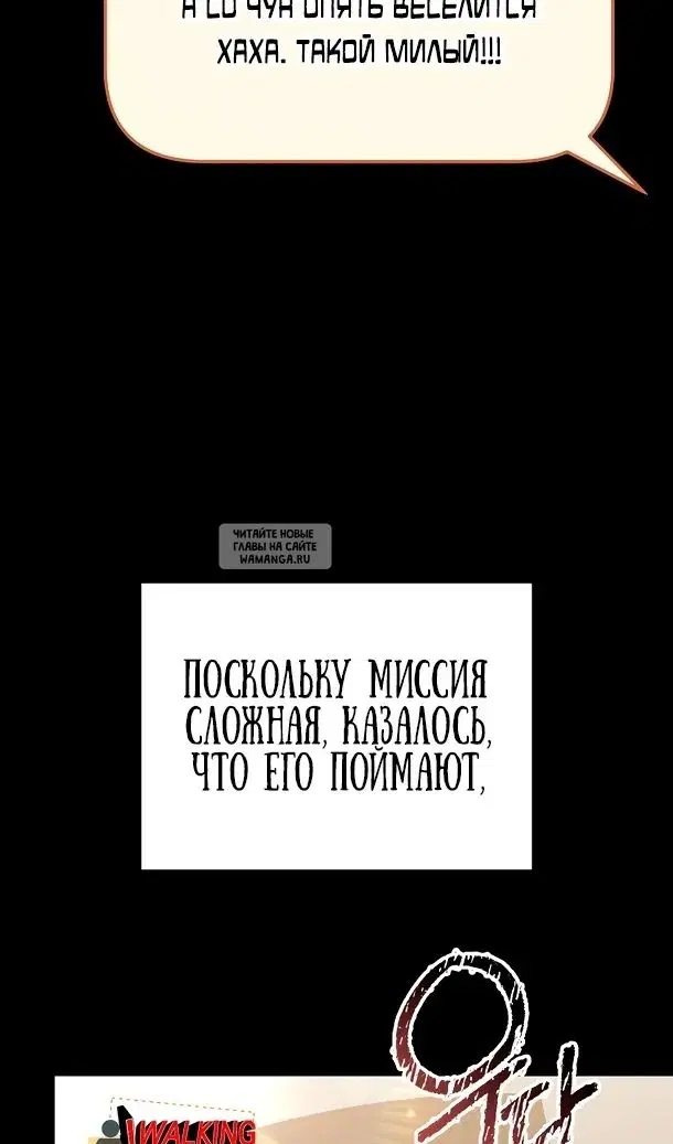 Page 51.000