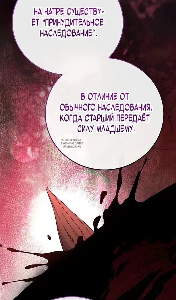 Page 51.000