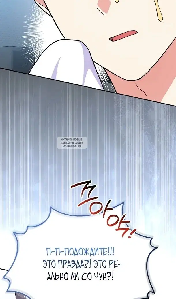 Page 51.000
