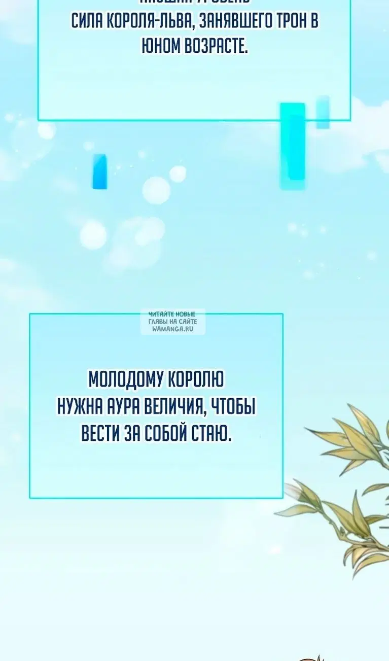 Page 53.000
