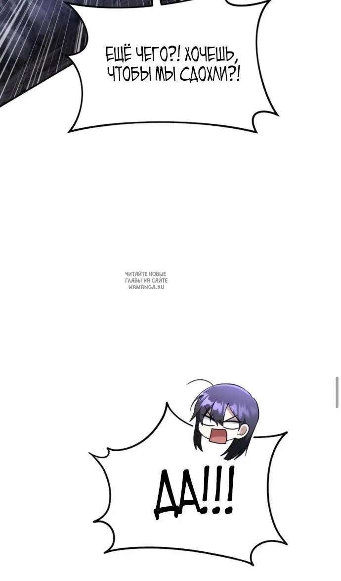 Page 113.000