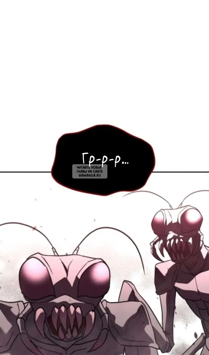 Page 113.000