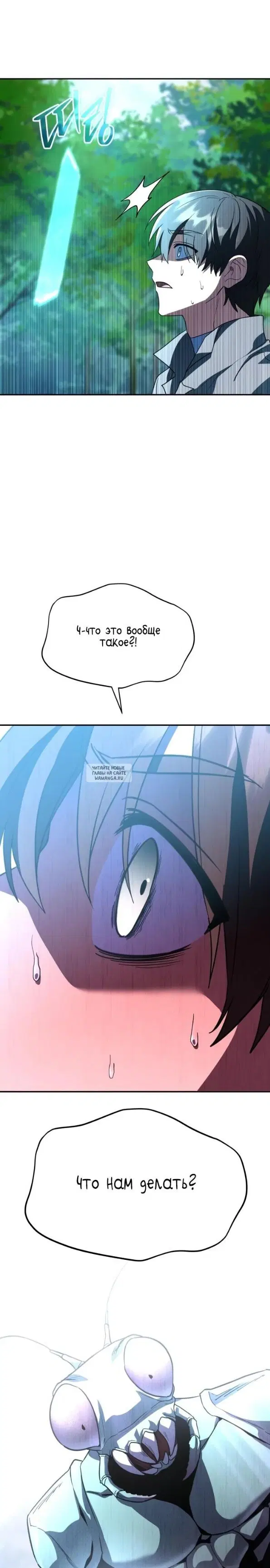 Page 31.000