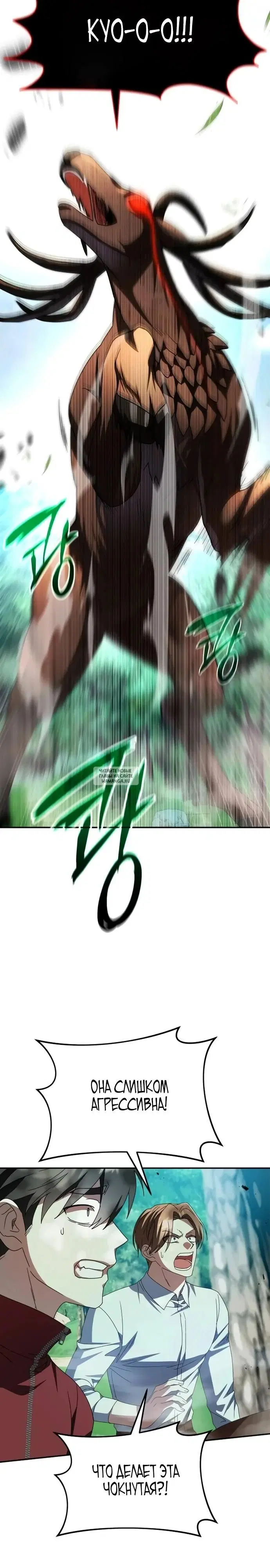 Page 41.000