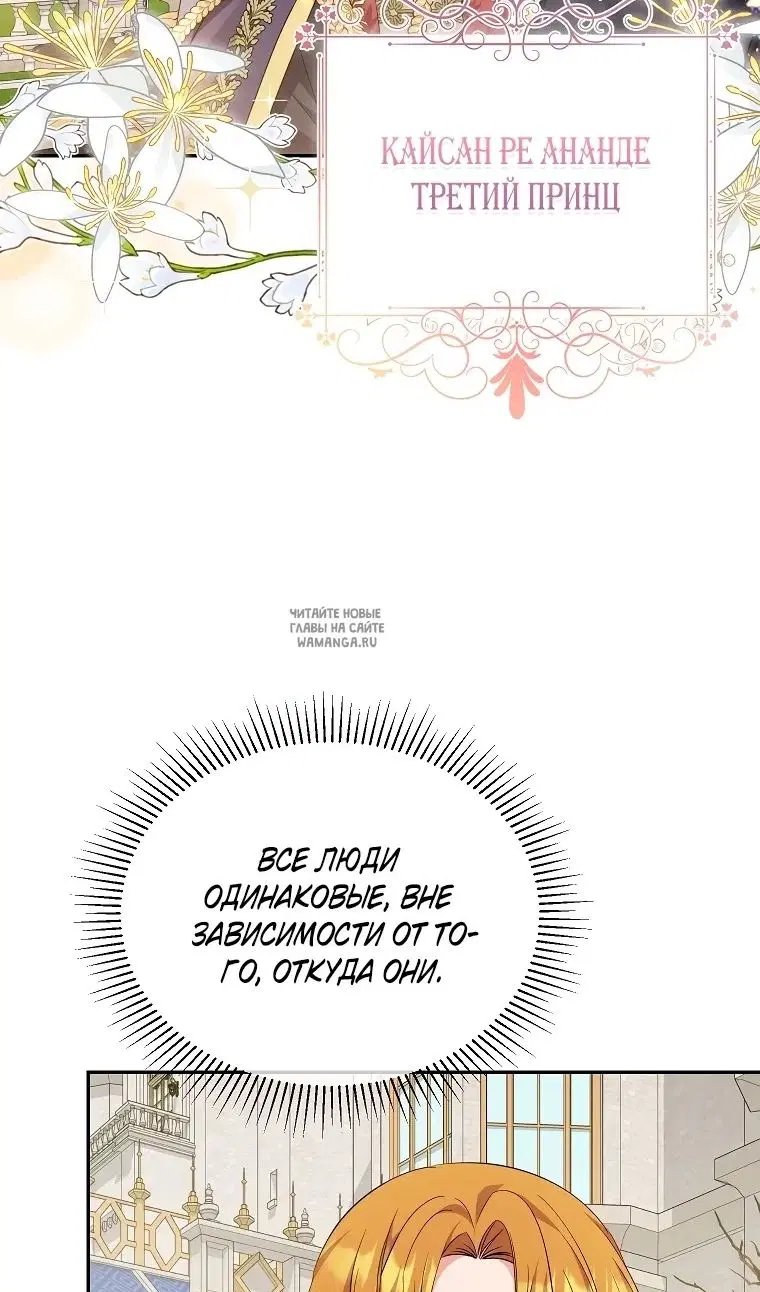 Page 81.000