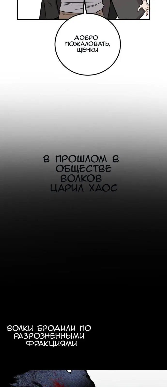 Page 30.000