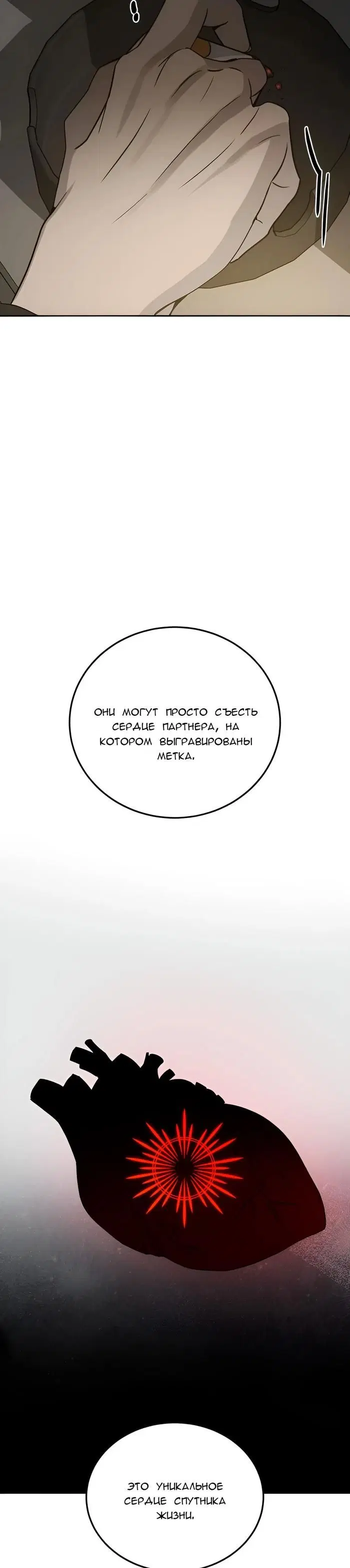 Page 51.000