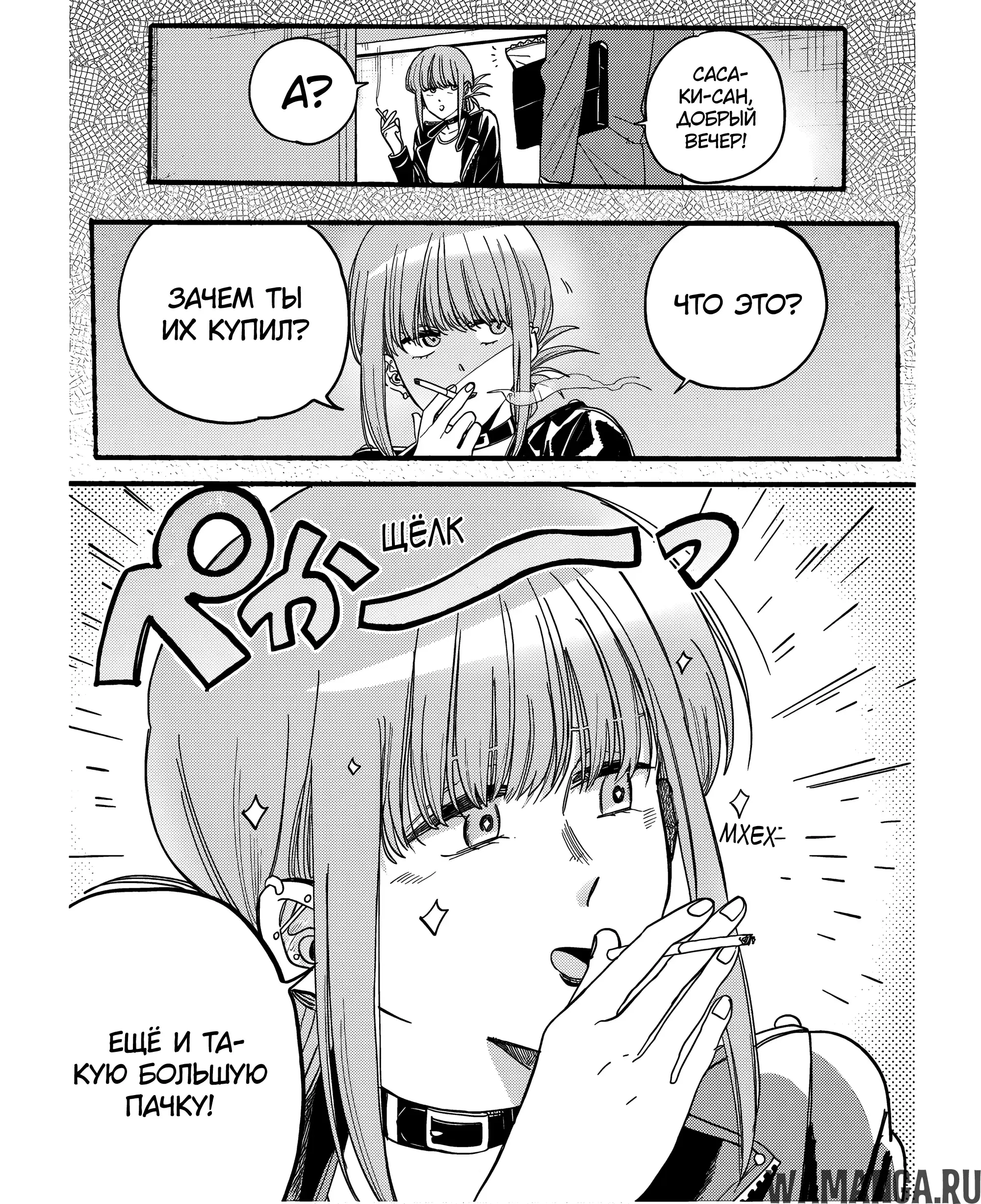 Page 3.000
