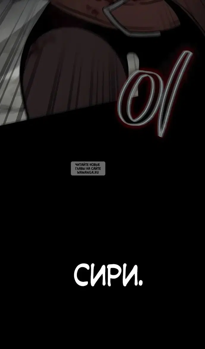Page 81.000