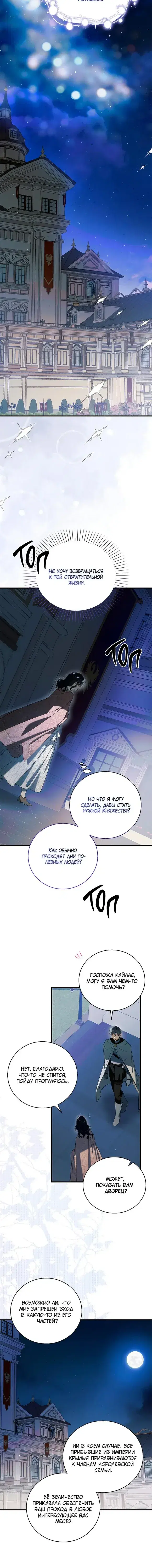 Page 5.001