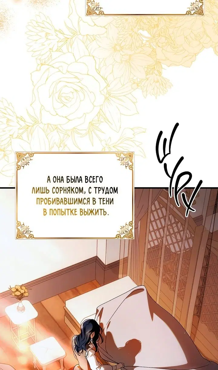 Page 75.000