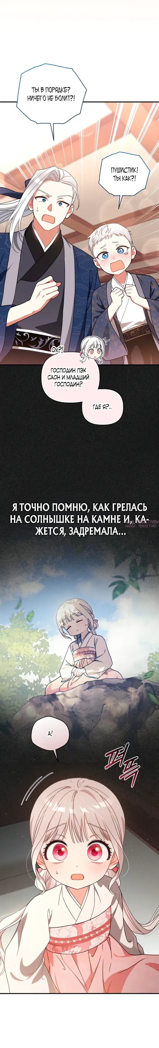 «Пушистик, принадлежащий семье белых тигров», глава 9, страница 8.000000000