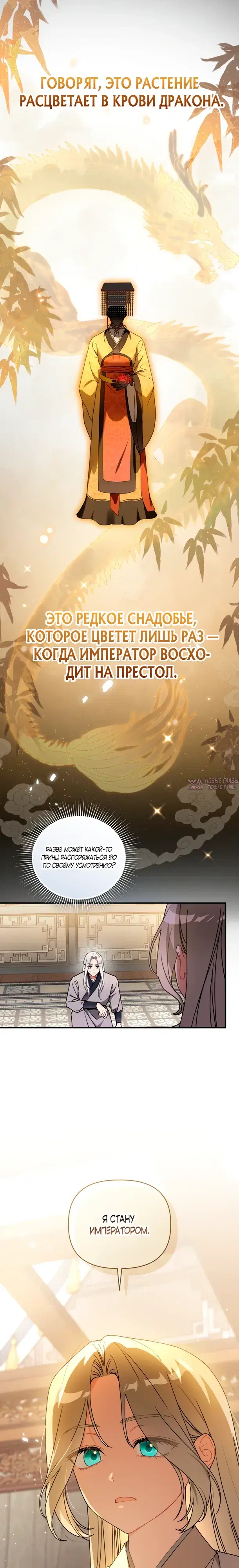 «Пушистик, принадлежащий семье белых тигров», глава 8, страница 2.000000000